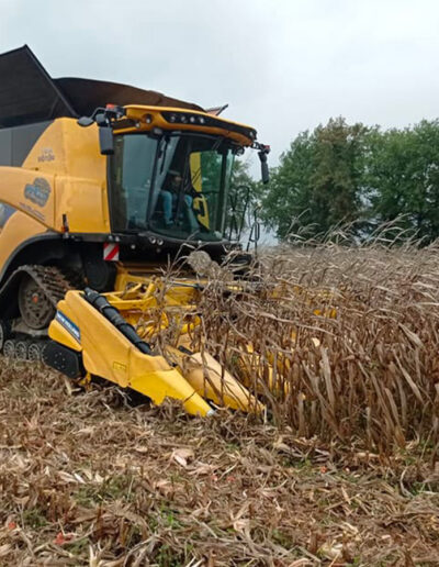 Travaux agricoles en Charente - artael-travauxagricoles.fr