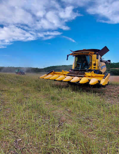 Moisson experte à Charente - artael-travauxagricoles.fr